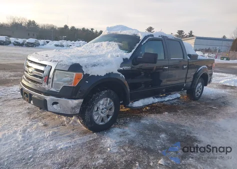2009 Ford F-150 Xl/Xlt z USA, uszkodzony, nr VIN 1FTRW14899FA15585